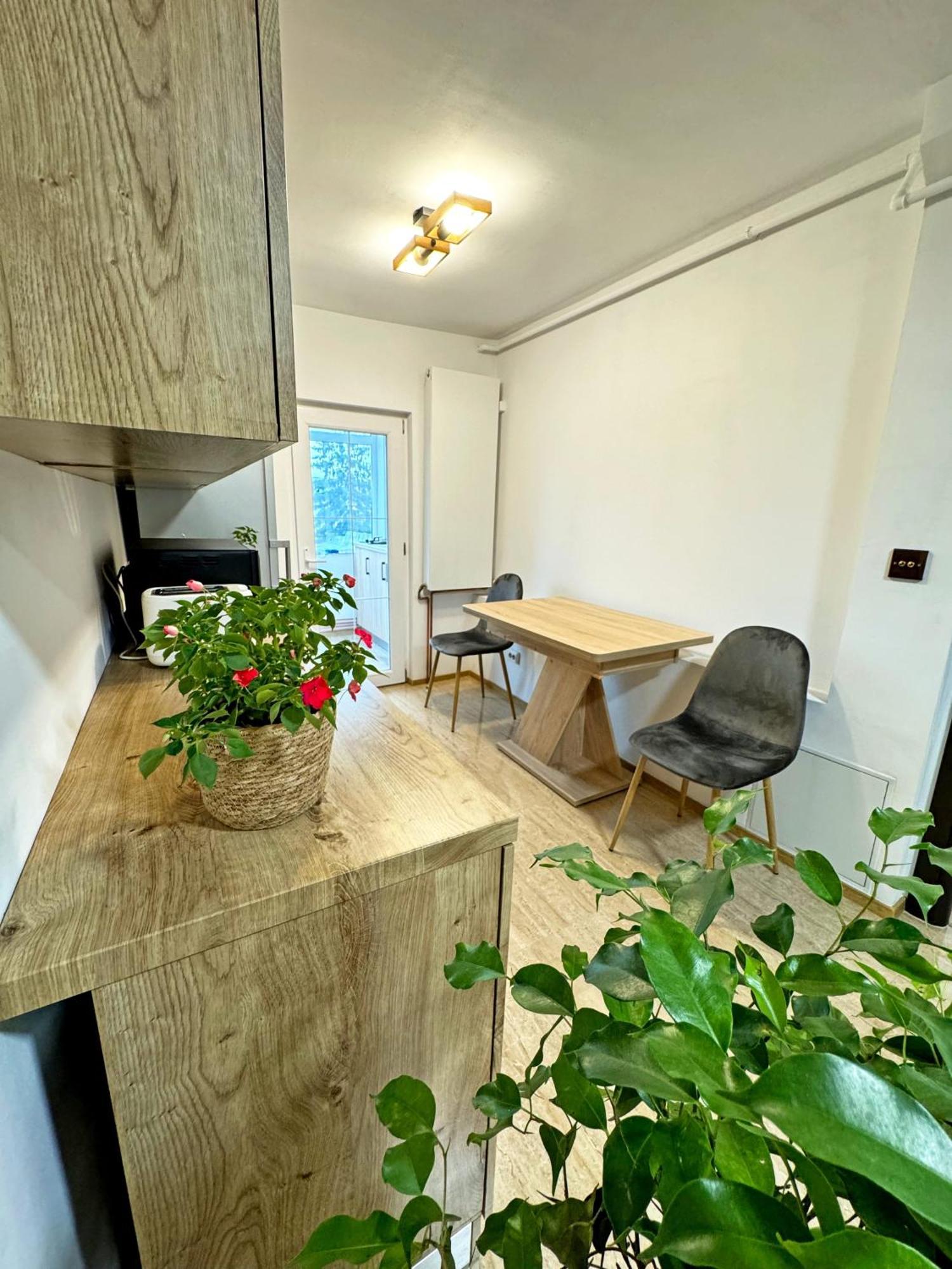 Ultracentral Apartment Târgu Jiu Zewnętrze zdjęcie